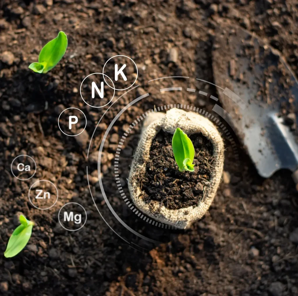 کودهای شیمیایی