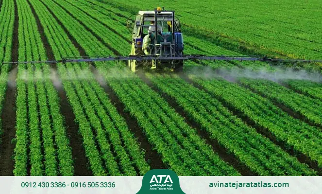 نقش فسفر در گیاه