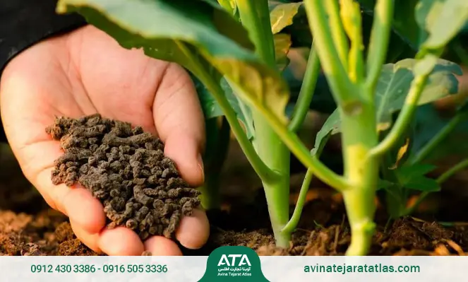 نقش پتاسیم در گیاه