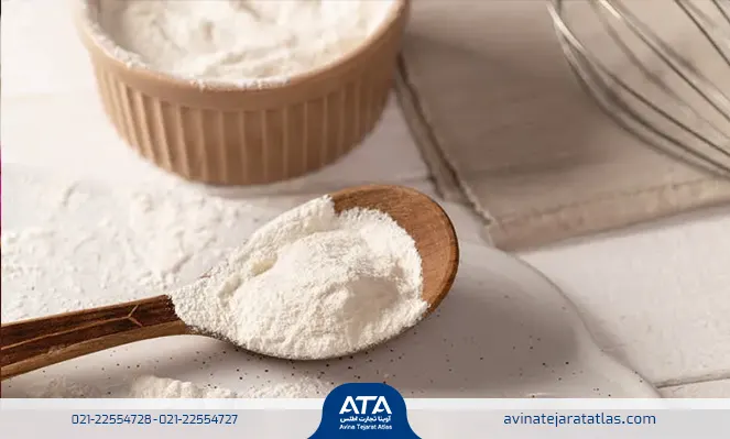 زانتان گام چیست