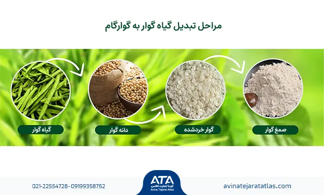 نحوه تولید گوارگام