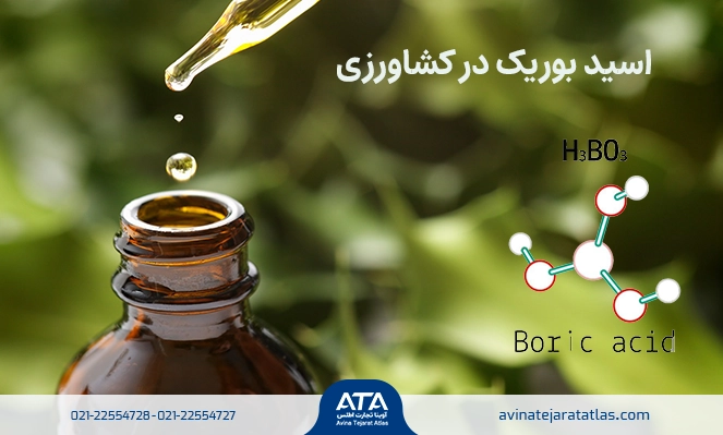 اسید بوریک در کشاورزی